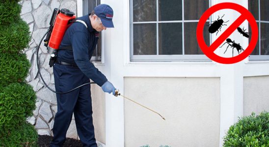 Darıca Kemirgen İlaçlama böcek ilaçlama ve haşere kontrolü — ilaclama-tr.com